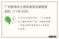 11月16日 广州新增本土感染者是在哪里查到的