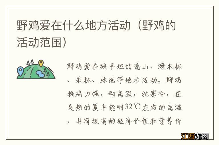 野鸡的活动范围 野鸡爱在什么地方活动