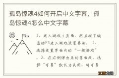 孤岛惊魂4如何开启中文字幕，孤岛惊魂4怎么中文字幕