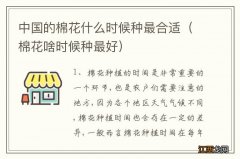 棉花啥时候种最好 中国的棉花什么时候种最合适