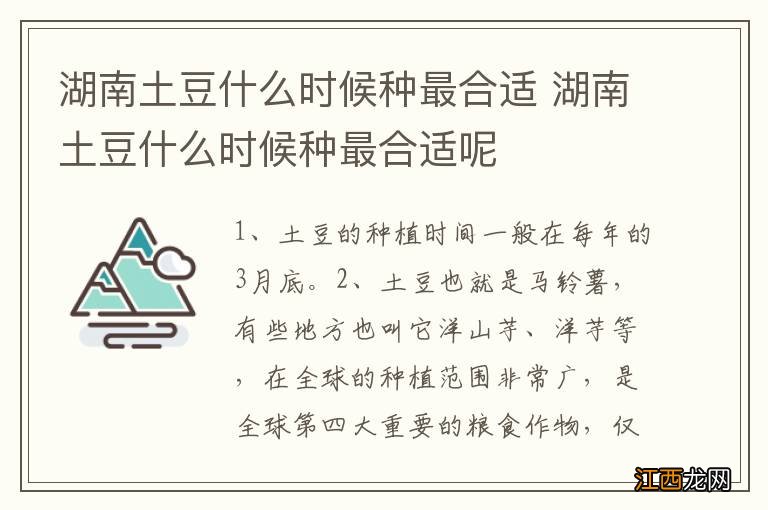 湖南土豆什么时候种最合适 湖南土豆什么时候种最合适呢