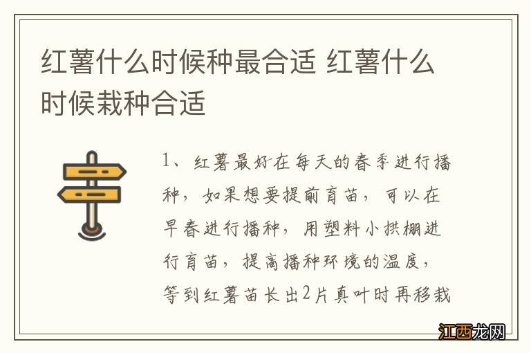 红薯什么时候种最合适 红薯什么时候栽种合适