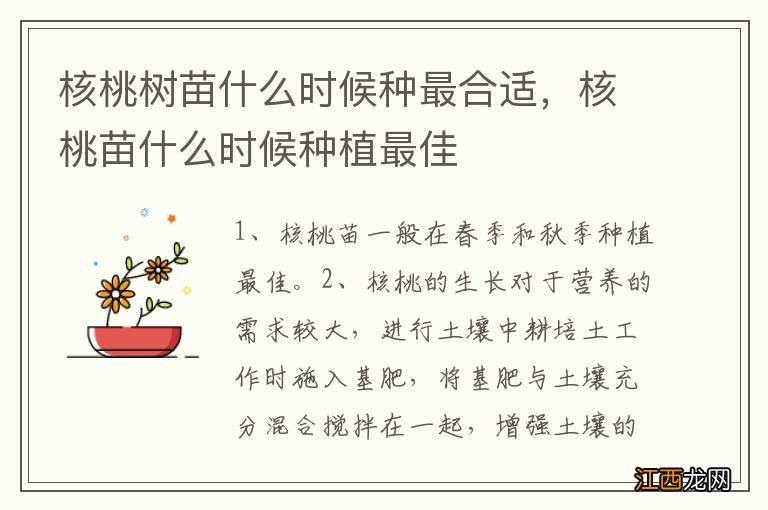 核桃树苗什么时候种最合适，核桃苗什么时候种植最佳