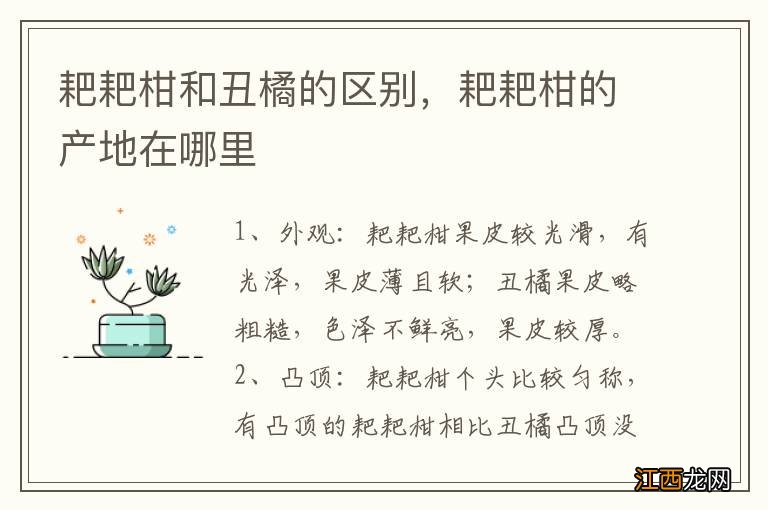 耙耙柑和丑橘的区别，耙耙柑的产地在哪里