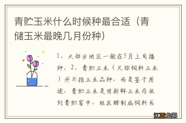 青储玉米最晚几月份种 青贮玉米什么时候种最合适