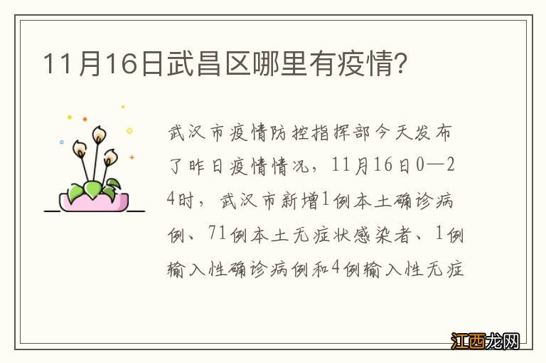 11月16日武昌区哪里有疫情？