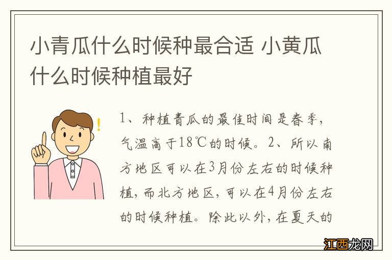 小青瓜什么时候种最合适 小黄瓜什么时候种植最好