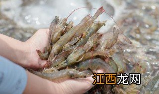 大虾怎样做酥脆好吃的 大虾怎样做酥脆好吃的做法