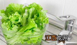 生菜球什么时候种最合适 现在可以种生菜球吗