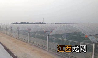 东北暖棚建造方法视频 东北暖棚建造方法