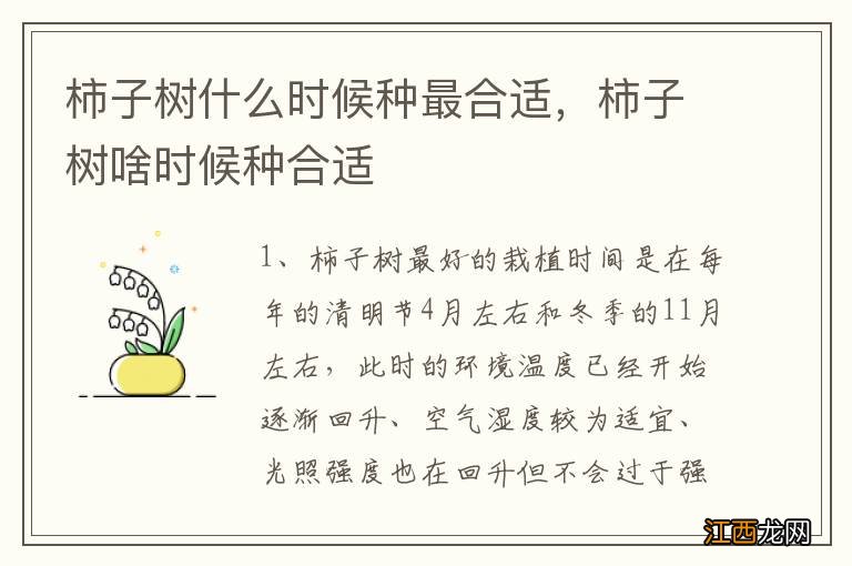 柿子树什么时候种最合适，柿子树啥时候种合适