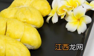 榴莲种子几月播种最好 榴莲苗什么时候种最合适