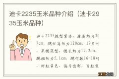 迪卡2935玉米品种 迪卡2235玉米品种介绍