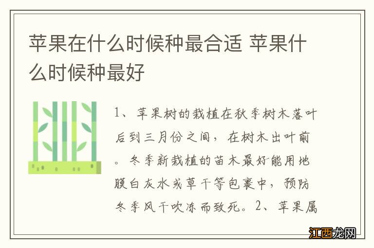 苹果在什么时候种最合适 苹果什么时候种最好