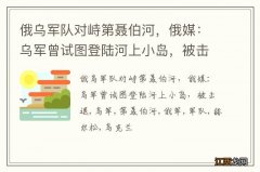 俄乌军队对峙第聂伯河，俄媒：乌军曾试图登陆河上小岛，被击退