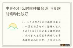 中豆40什么时候种最合适 毛豆啥时候种比较好