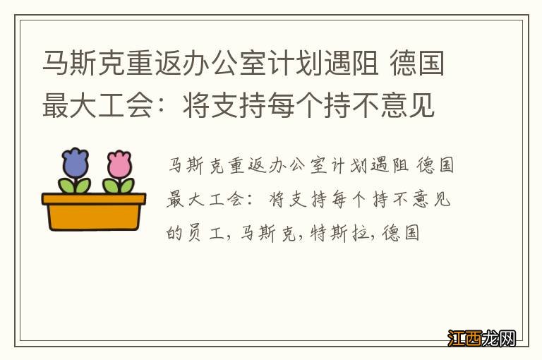 马斯克重返办公室计划遇阻 德国最大工会：将支持每个持不意见的员工