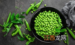 陕西豌豆什么时候种植 西安什么时候种豌豆最合适