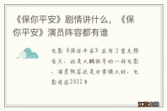 《保你平安》剧情讲什么，《保你平安》演员阵容都有谁