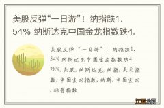 美股反弹“一日游”！纳指跌1.54% 纳斯达克中国金龙指数跌4.28%