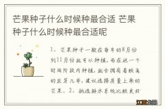 芒果种子什么时候种最合适 芒果种子什么时候种最合适呢