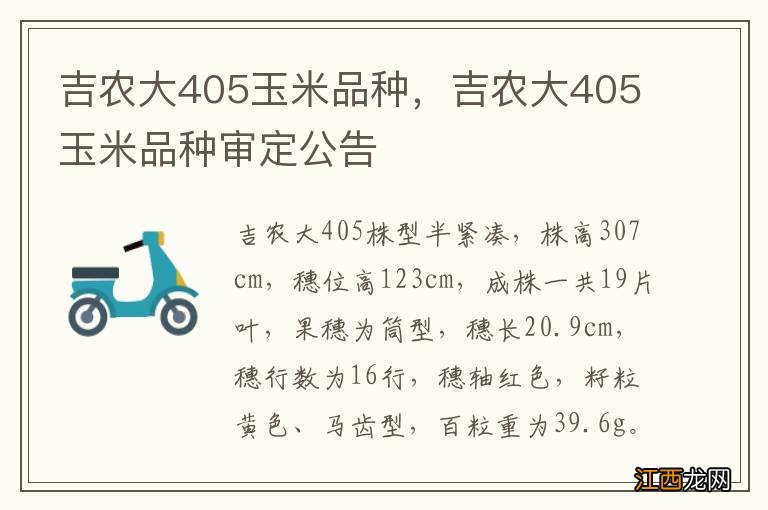 吉农大405玉米品种，吉农大405玉米品种审定公告