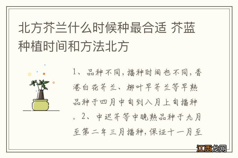 北方芥兰什么时候种最合适 芥蓝种植时间和方法北方