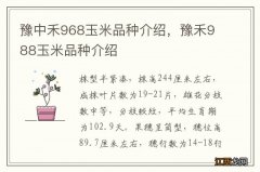 豫中禾968玉米品种介绍，豫禾988玉米品种介绍