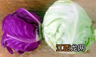 紫芥菜花什么时候种最合适 紫白菜适合什么时候种