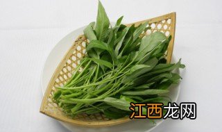 春菜几月份种植 春菜什么时候种最合适