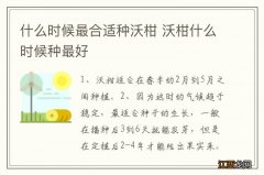 什么时候最合适种沃柑 沃柑什么时候种最好