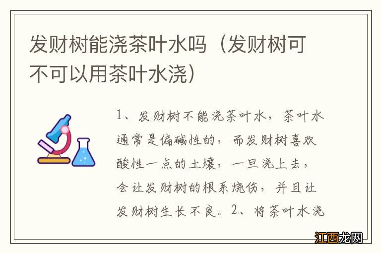 发财树可不可以用茶叶水浇 发财树能浇茶叶水吗