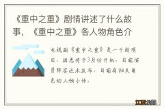 《重中之重》剧情讲述了什么故事，《重中之重》各人物角色介绍