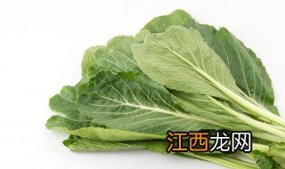 野生芥菜什么时候种最合适 芥菜什么时侯种