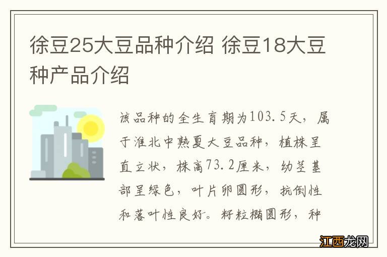 徐豆25大豆品种介绍 徐豆18大豆种产品介绍