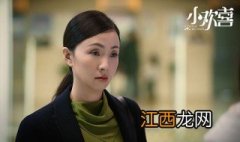 小欢喜全体演员表介绍 小欢喜全体演员表