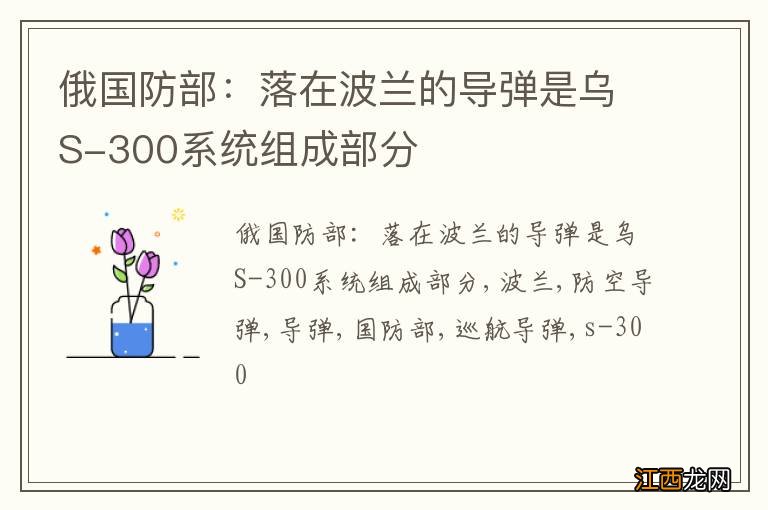 俄国防部：落在波兰的导弹是乌S-300系统组成部分