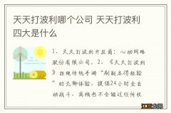 天天打波利哪个公司 天天打波利四大是什么