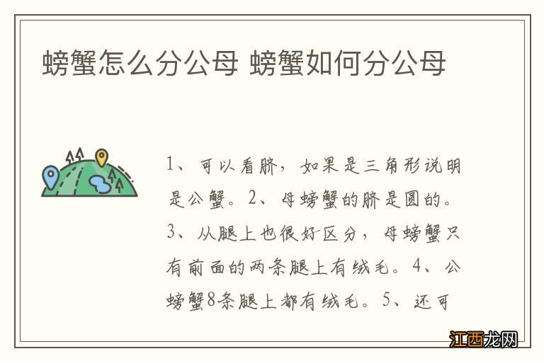 螃蟹怎么分公母 螃蟹如何分公母