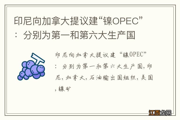 印尼向加拿大提议建“镍OPEC”：分别为第一和第六大生产国