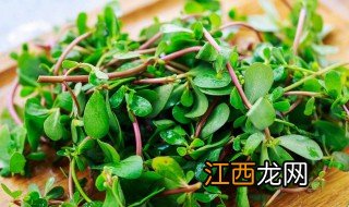 马齿苋的做法 制作蒸马齿苋的方法