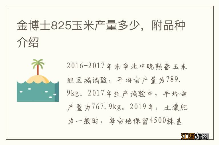 金博士825玉米产量多少，附品种介绍