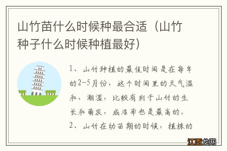 山竹种子什么时候种植最好 山竹苗什么时候种最合适