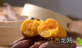 四川凉薯什么时候种最合适 凉薯啥时候种植