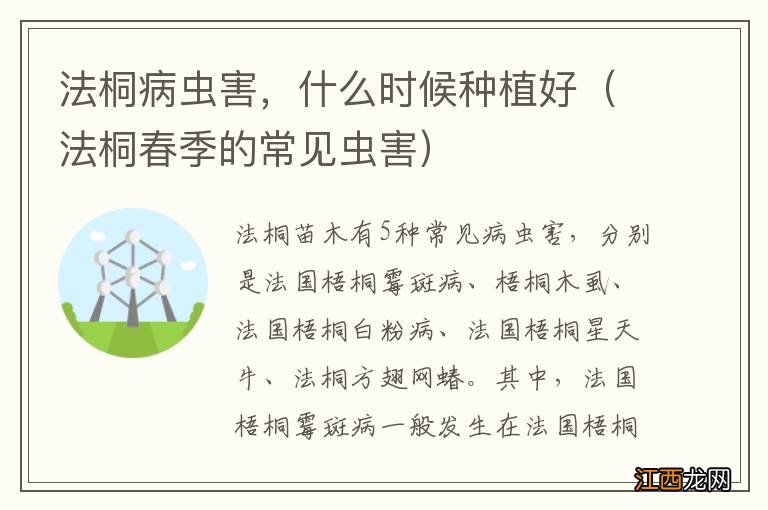 法桐春季的常见虫害 法桐病虫害，什么时候种植好