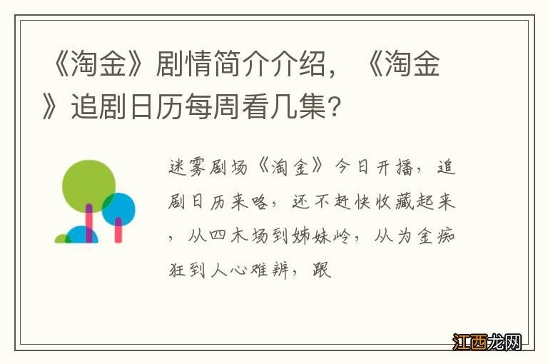 《淘金》剧情简介介绍，《淘金》追剧日历每周看几集?