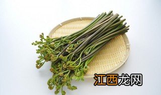 蕨菜怎么腌制可以存放多久 腌制的蕨菜能保存多长时间?