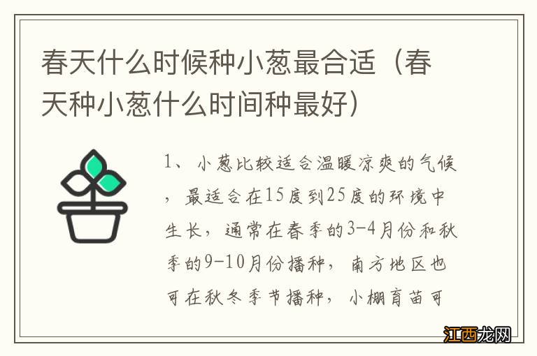 春天种小葱什么时间种最好 春天什么时候种小葱最合适