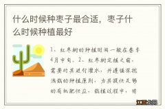 什么时候种枣子最合适，枣子什么时候种植最好