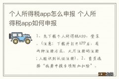 个人所得税app怎么申报 个人所得税app如何申报